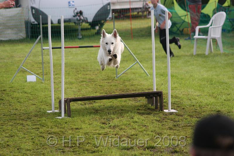 jubil.lusten3 054.jpg